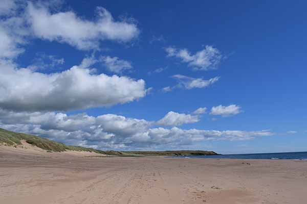The Sands of Forvie